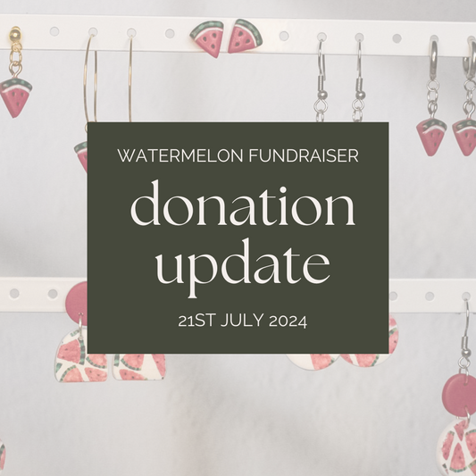 Watermelon Jewellery For Palestine - Arias Design Co NZ